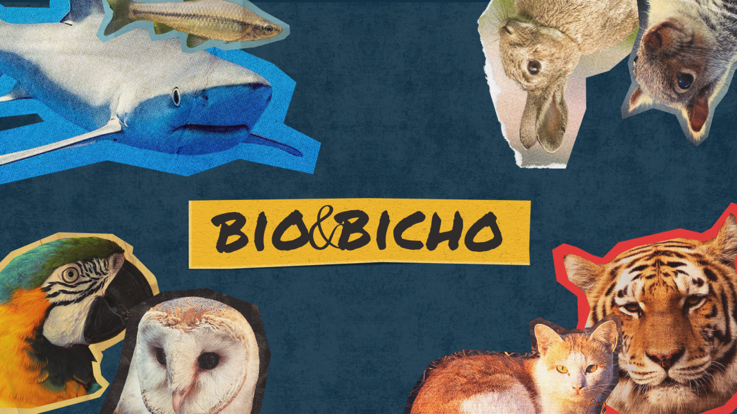 Bio&Bicho
